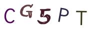 圖片的 CAPTCHA