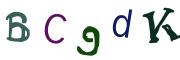 圖片的 CAPTCHA