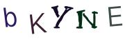 圖片的 CAPTCHA