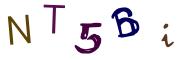 圖片的 CAPTCHA