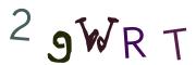 圖片的 CAPTCHA