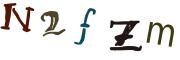 圖片的 CAPTCHA