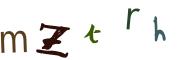 圖片的 CAPTCHA