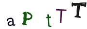 圖片的 CAPTCHA