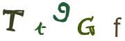 圖片的 CAPTCHA