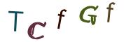 圖片的 CAPTCHA