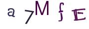 圖片的 CAPTCHA
