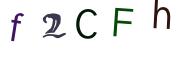 圖片的 CAPTCHA