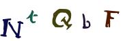 圖片的 CAPTCHA