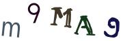 圖片的 CAPTCHA