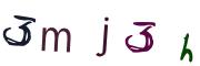 圖片的 CAPTCHA
