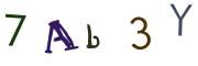 圖片的 CAPTCHA