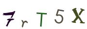 圖片的 CAPTCHA