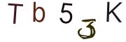 圖片的 CAPTCHA